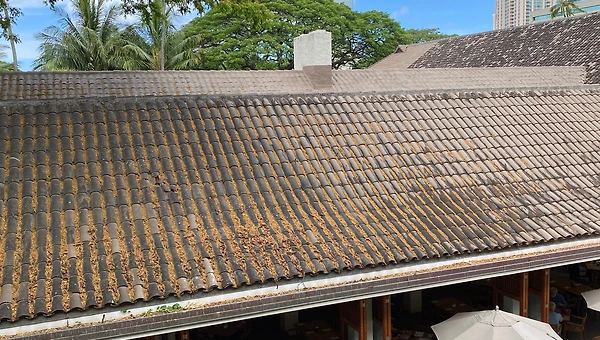 과거는 잊혀질 뿐 수정되지 않는다