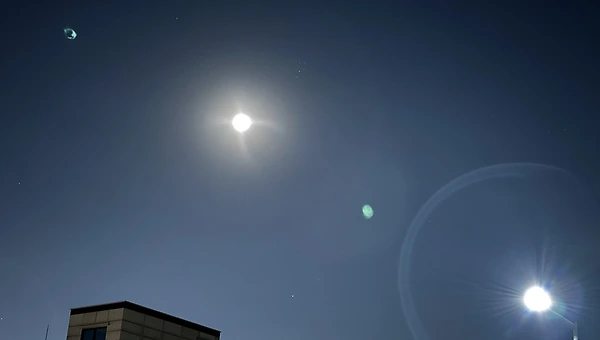 뜻밖에 산불이 남긴 상처