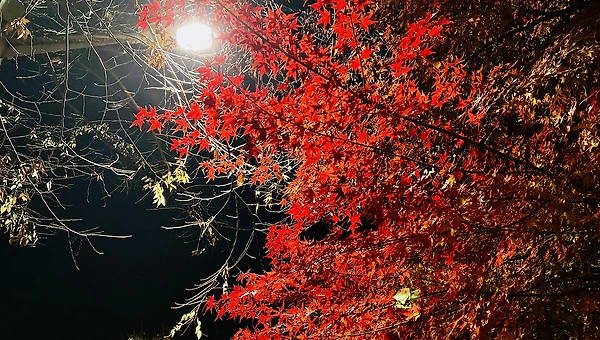 마음을 헤아려주신 어머니