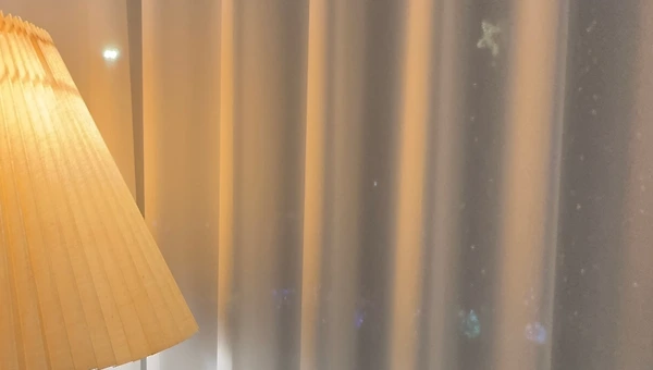 지금의 나로 돌아온다면