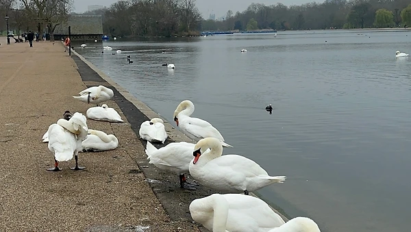가장 영국다운 길, 바로 여기