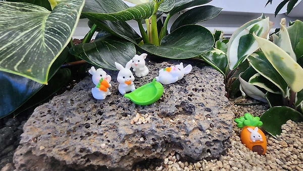 오늘은 내 인생이 먼저예요