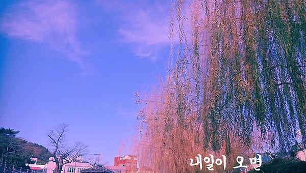 순간 포착 백로 여인