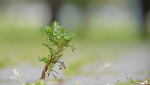 제품을 '상품'으로 만드는 시간