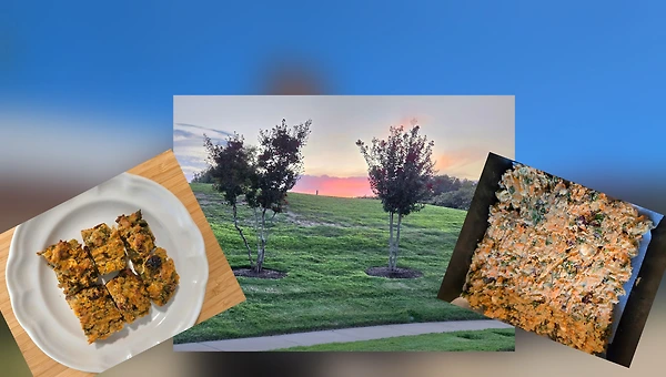 미국 친구를 위해 만든 깻잎 케이크