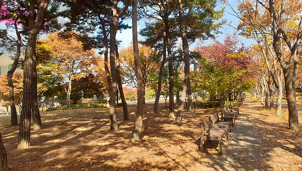 남대천의 사계 1-3