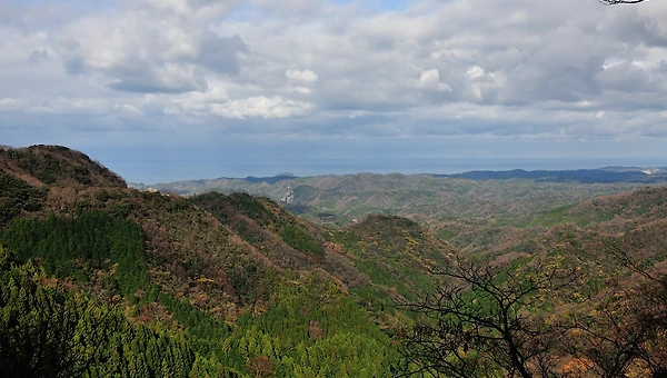 종아격의 최고봉, 아우생아종재격