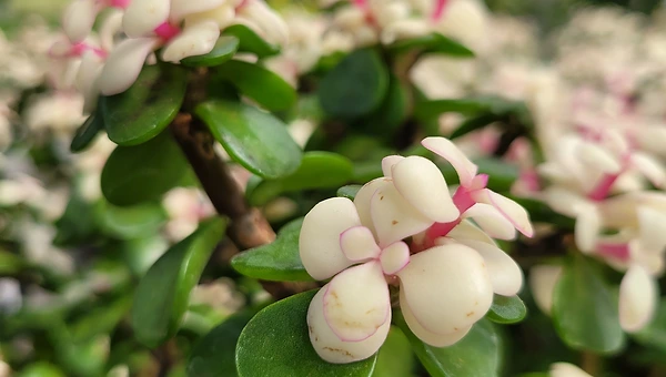 나는 월급만큼 존재했다