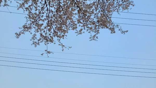 이제야 내 삶을 돌아봅니다