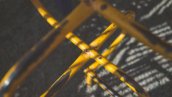 밤새 발목을 만지던 손