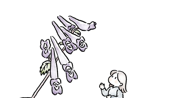 기적처럼 다가온 선물