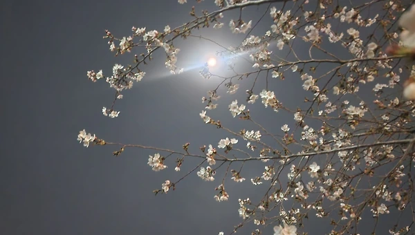 삶을 선택한다는 점은