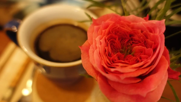 예비창업패키지 면접 후기를 이야기해 보자면...