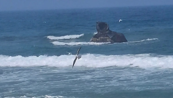 거절할 용기로