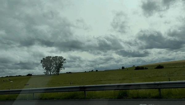 버거씨네 대가족을 만나게 되었다.