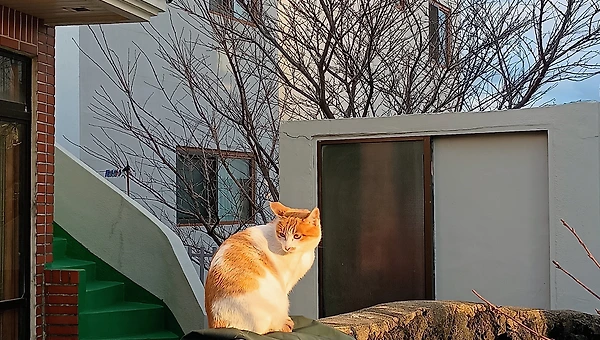 삶의 배당금 만들기