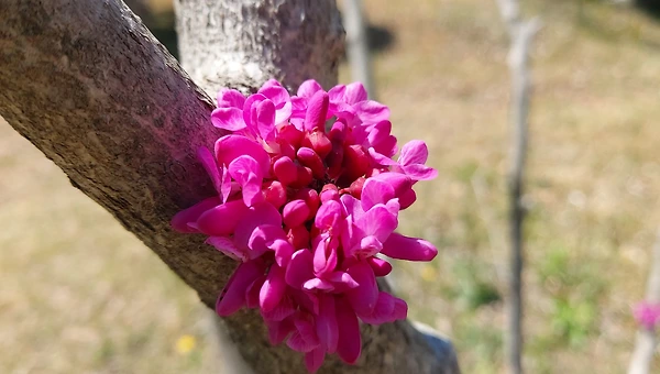 말로 주는 상처가 더 크다