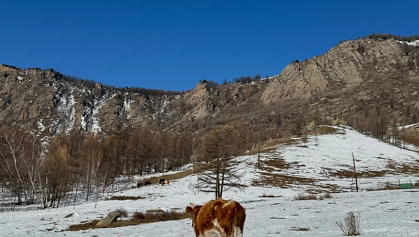 초저전력 인간2