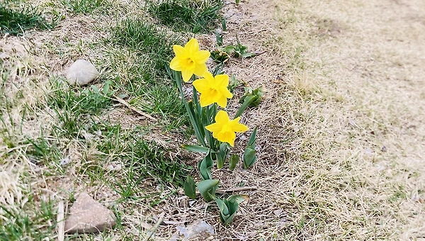 중요한 일정을 앞두고