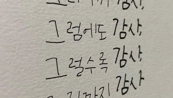 가장 편안한 품