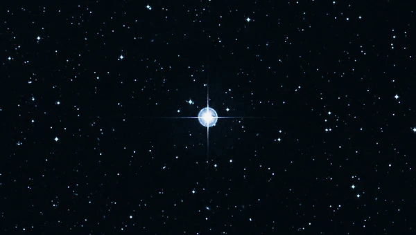 별것 아닌 하루가 모여 별처럼 빛나는 인생이 된다