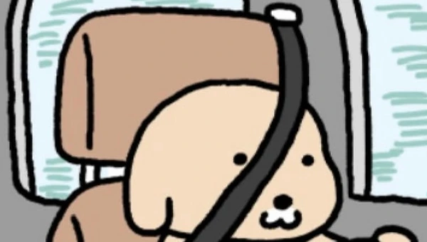 이 사람과 어떻게 같이 잘 살 수 있을까?