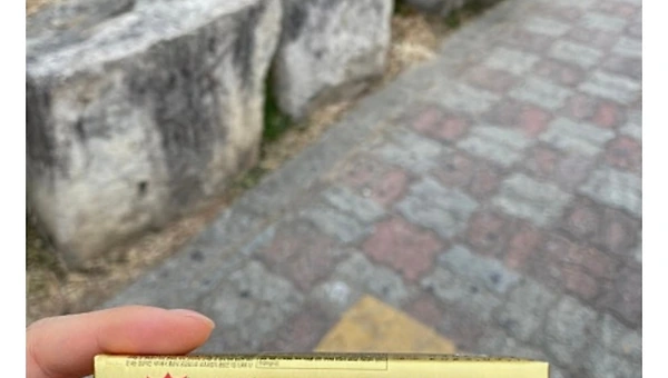 안알랴줌이 체질입니다...!