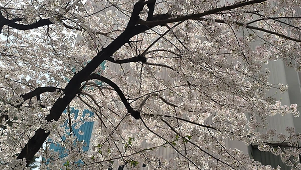 잔잔한 파도로 남은 세월