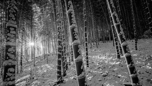 17.차라리 운명이었지, 그 이별은