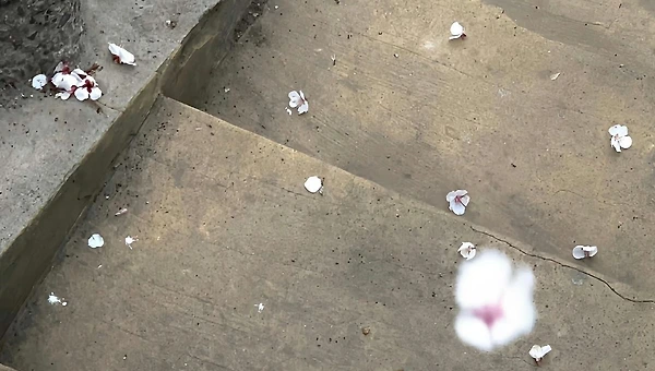 전주를 듣는 사람