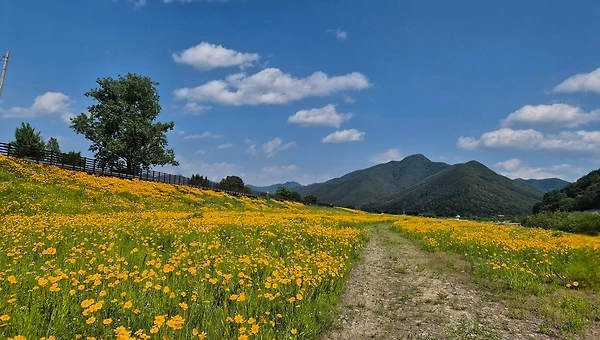 시어머니에서 시자 떼기 연제3