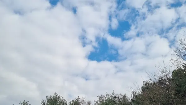 다정한 마음도 어깨너머로 배우고 