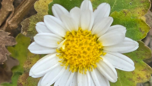 밝음은 맑음에서, 깊음은 침묵에서