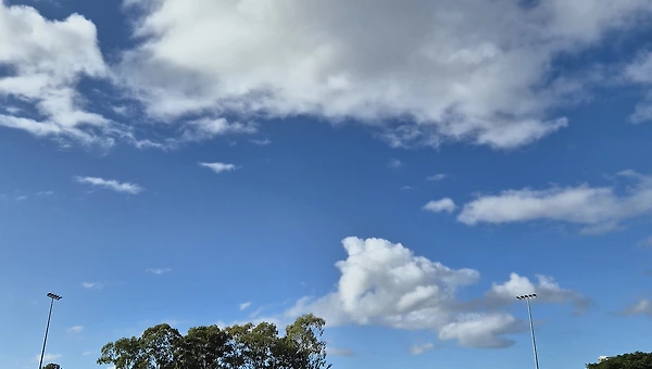 호주 와서 넌 뭘 했니?(2)