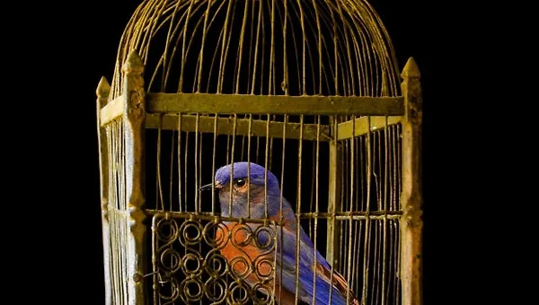 익숙함은 생각을 시들게 한다.