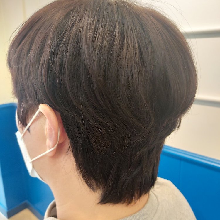 로이앤가비헤어 시지신매점 펌 | 카카오헤어샵 예약