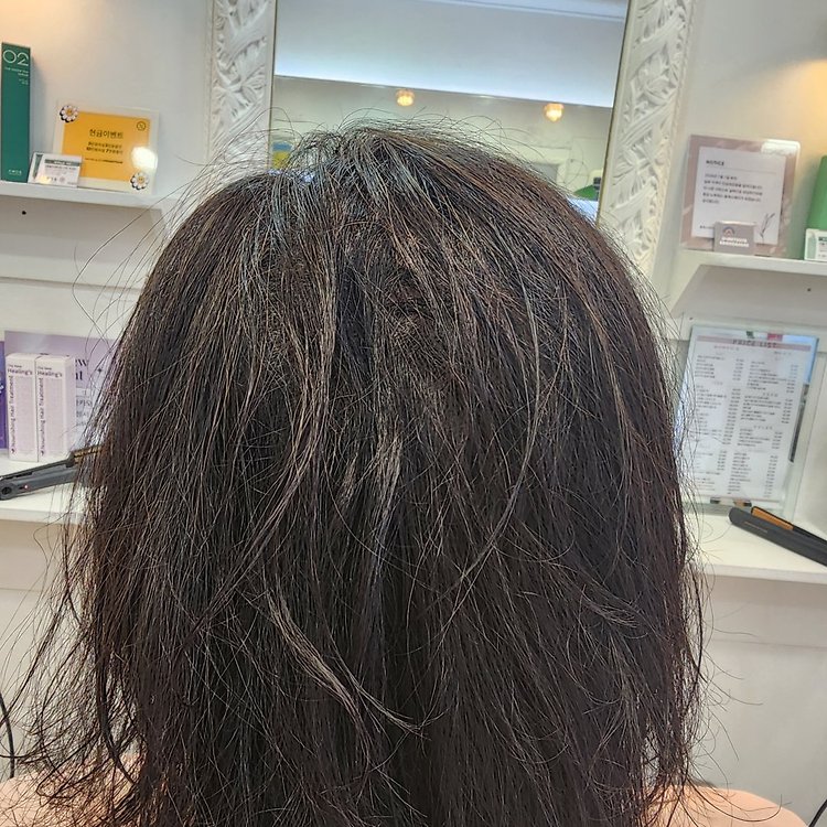 블레스헤어 송파점 커트 | 카카오헤어샵 예약