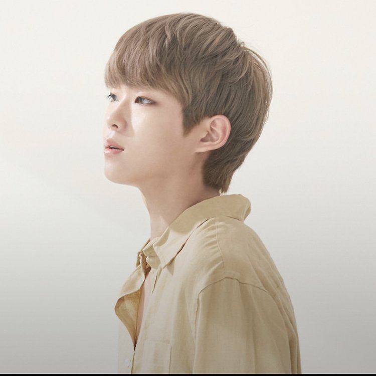 휴이엠 헤어 월성점 커트 | 카카오헤어샵 예약