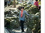 구례 산동 산수유축제