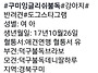 불독 분양