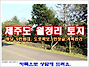[평당 9만원대 제주도 월..