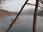 출렁다리