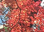 산우회 정유년 송년 등반