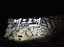 단기임대 숙소 "게으르게"..
