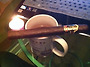 Ashton Vsg Sorcere..