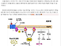 흑중13회 황철상 교수 "..