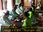 2015년 5월경복궁 자경전 ..