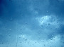 SHIELD PE Rain