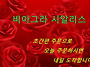 비거록스 효과 가격 및 처..