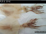 11월5일 : 오늘의 건조물고..